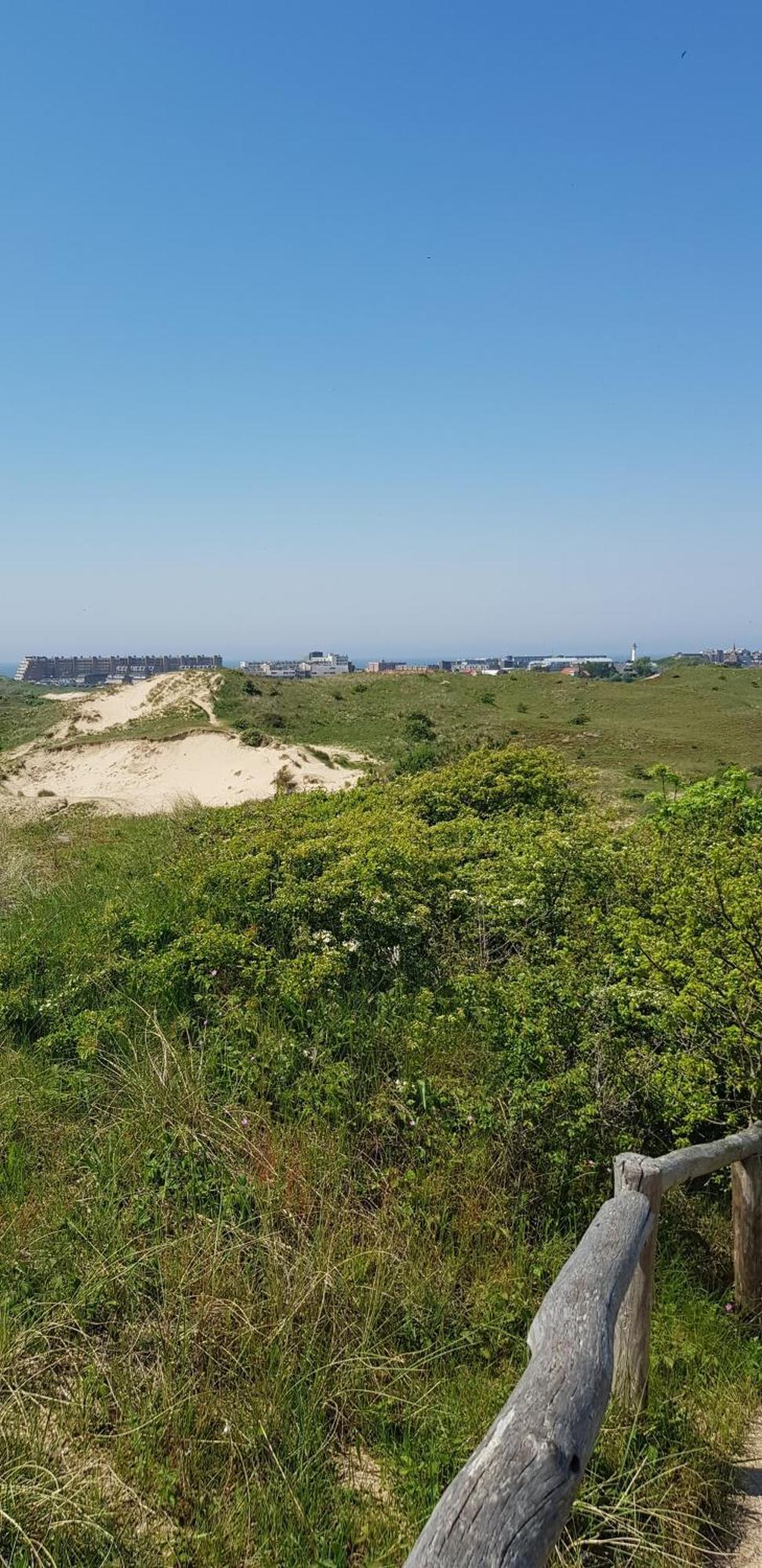 דירות אגמונד אן זי Strand Zuid חדר תמונה